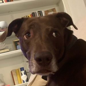 Meet your Posher, Hayden